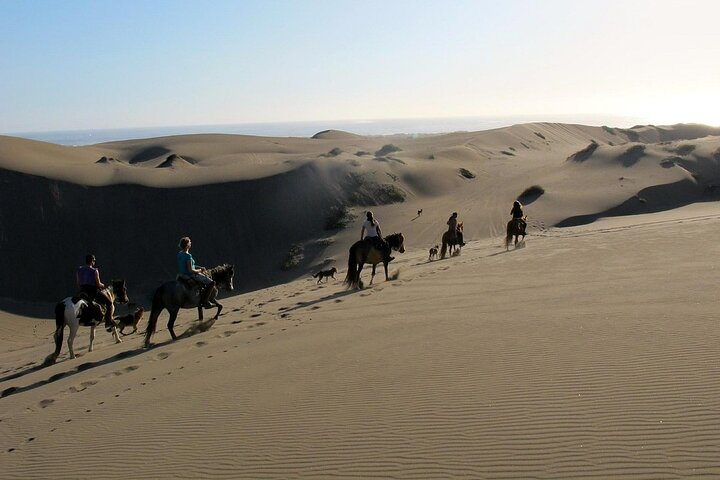 Full Day Valparaiso, Winery ,Dunes Horse Ridding & BBQ - Santiago - Photo 1 of 16