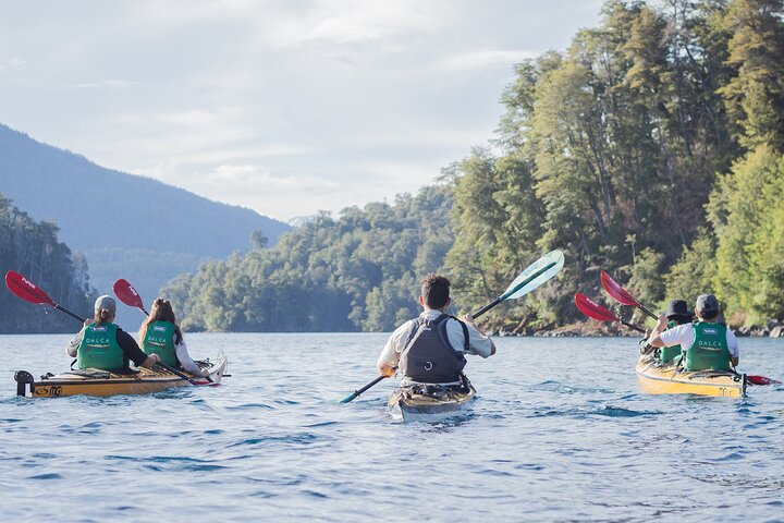 Guided Half Day Kayak Tour with Picnic in Villa la Angostura - Photo 1 of 10