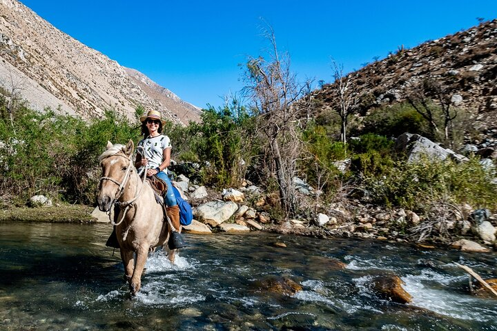 Horseback riding river and mountain range - Photo 1 of 8