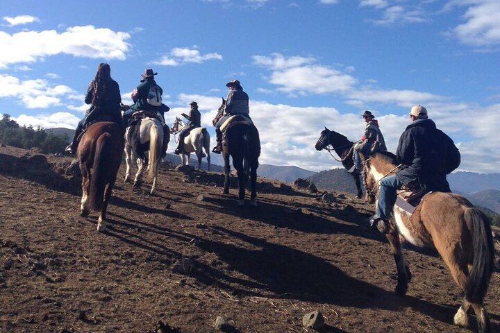 Horseback to an Andes Lookout from Santiago. Half Day  - Photo 1 of 7