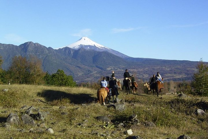 Horseback Trailride Excursion - Photo 1 of 10