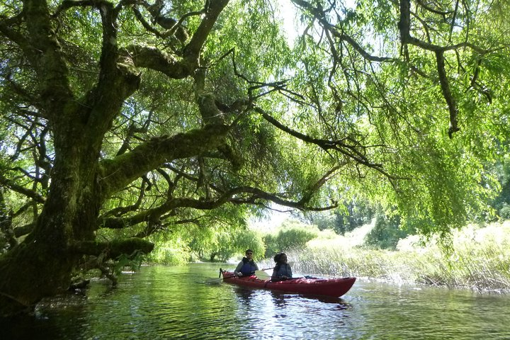 Kayak Laguna La Poza 1/2 day - Photo 1 of 6