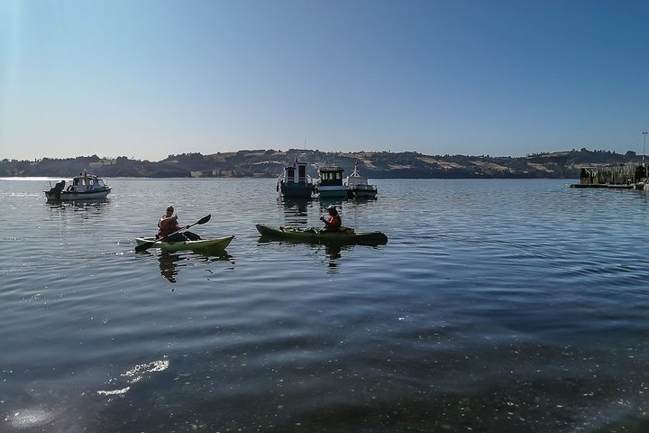 Kayaking Chiloe Island