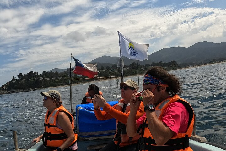 Penguins Watching Navigation Cachagua Island& Lunch From SANTIAGO - Photo 1 of 23