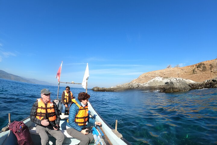 Penguins Watching Navigation Cachagua Island&Lunch From VALPARAIS - Photo 1 of 21