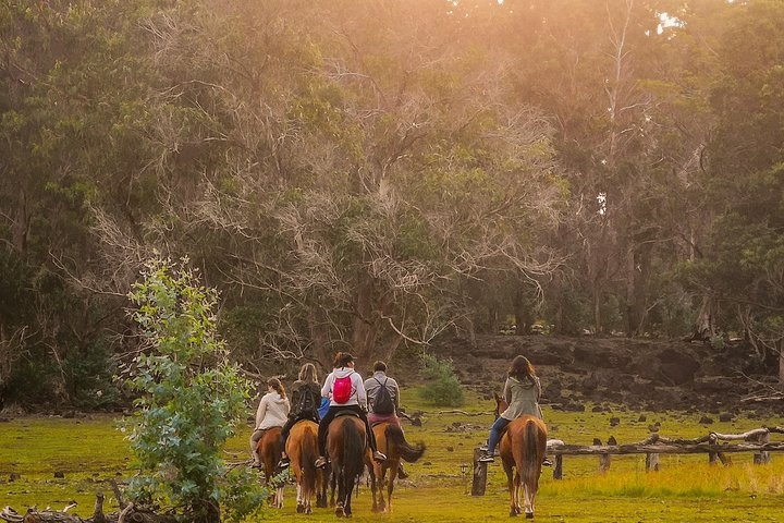 Ride in the morning and plant a tree on the top of the island - Photo 1 of 10