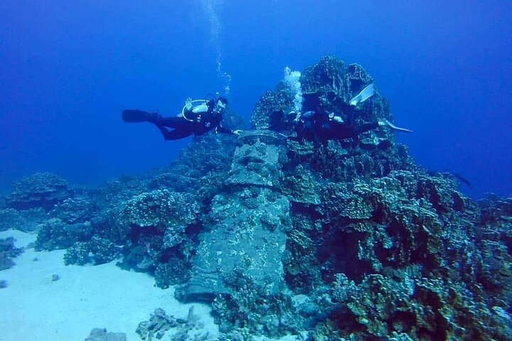 Shared Scuba Diving Experience on Easter Island one dive only - Photo 1 of 7