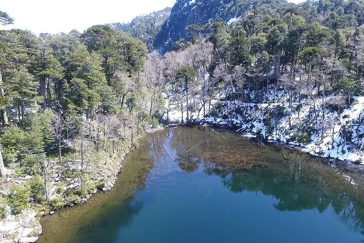 Trekking Huerquehue - Photo 1 of 7