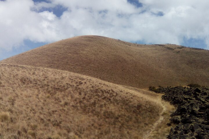 mt cameroon