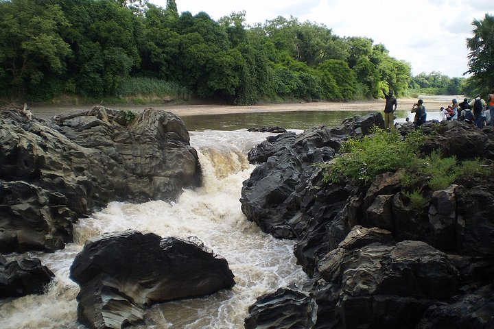 Lobéké National Park Express 11D/10N - Photo 1 of 3