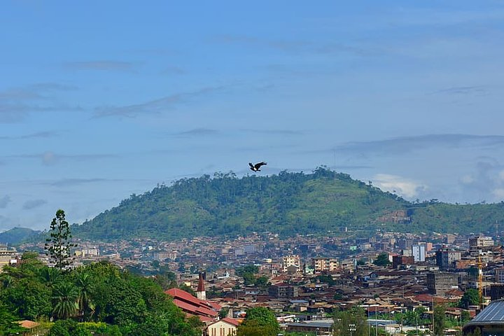 Mout Cameroon Trekking Adventure 10D/9N - Photo 1 of 7