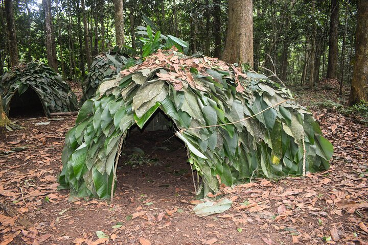 Wildlife & Baka Pygmies: One Week in the Ngoyla and Dja Reserves - Photo 1 of 12