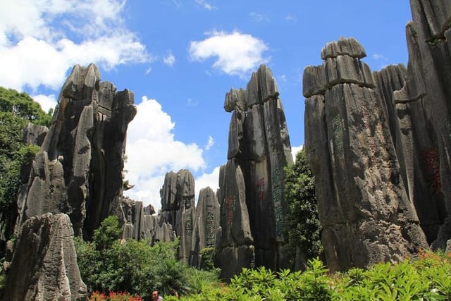 The Stone Forest Park