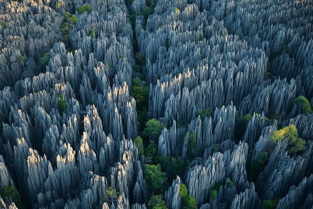 1 Day Stone Forest & Jiuxiang Cave Tour - Photo 1 of 7