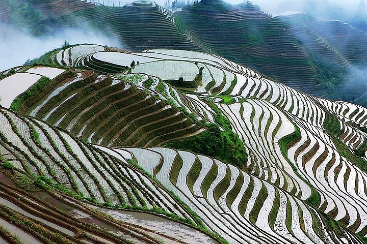 Longji Terrace