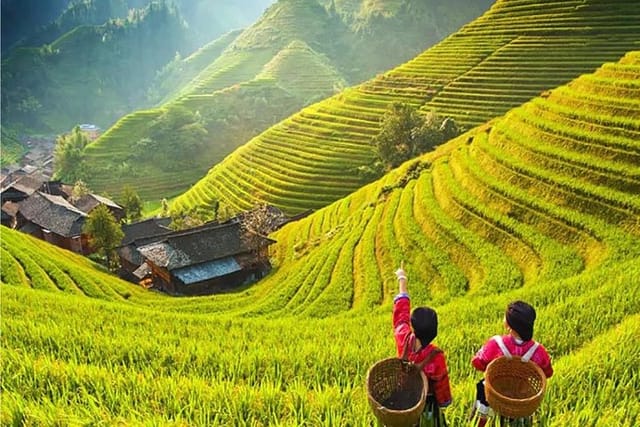 Longji Rice Terrace 