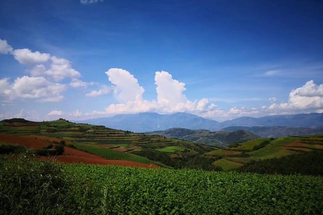 Dongchuan Red Land 