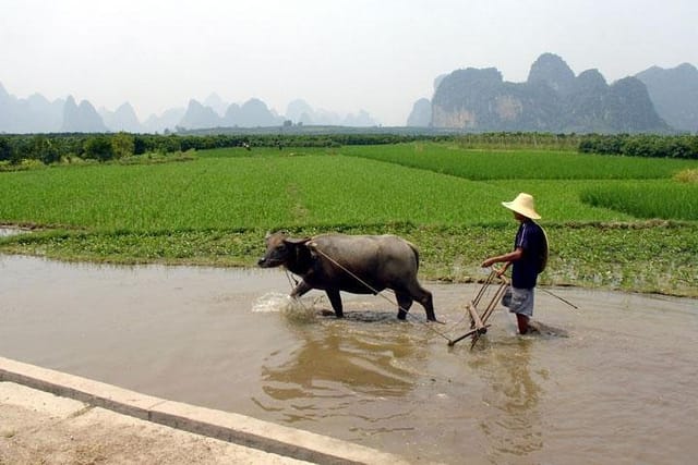 Yangshuo countryside