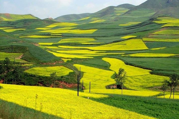 4-Day Tour to Yangshuo Li River Cruise & Longsheng Rice Terraces - Photo 1 of 9