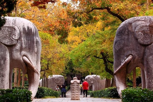 4-hour-nanjing-private-tour-xiaoling-tomb-ming-city-wall-and-memorial-hall_1