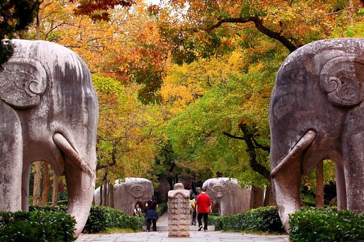 4-Hour Nanjing Private Tour: Xiaoling Tomb, Ming City Wall and Memorial Hall  - Photo 1 of 7