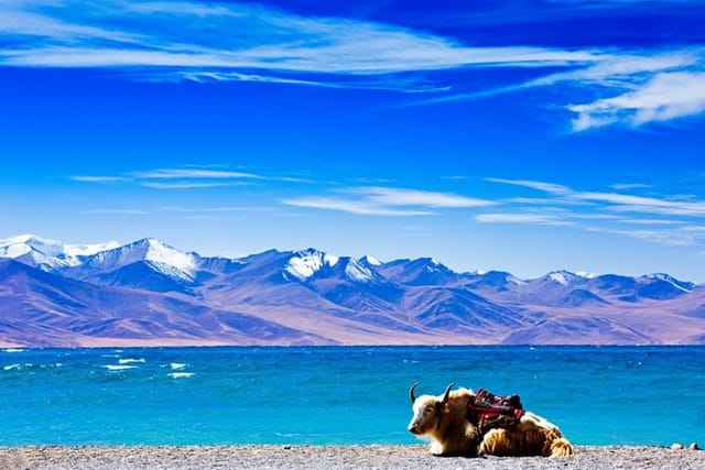 6-Day Small Group Lhasa City and Holy Lake Namtso Tour from Beijing - Photo 1 of 10