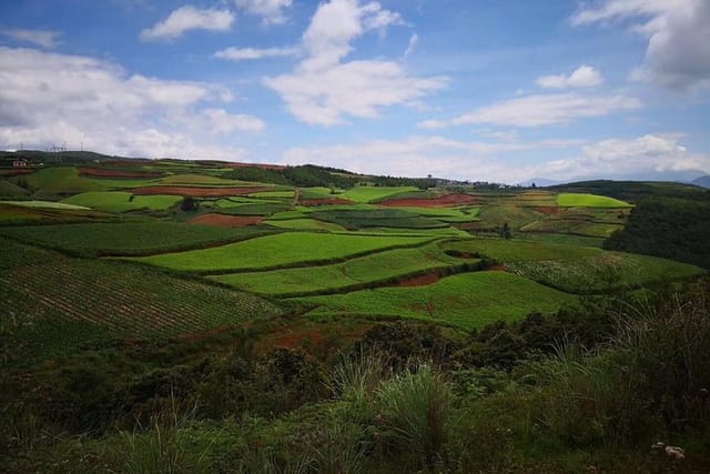 Dongchuan Red Land 