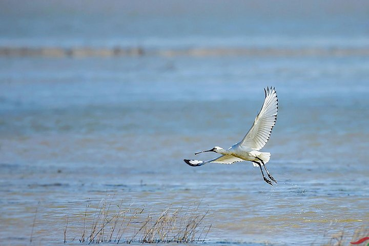 Nanji Hill Poyang Lake Nature Reserve