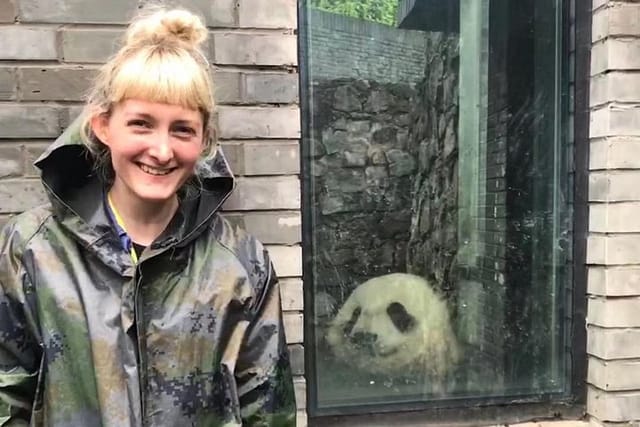 dujiangyan panda volunteer