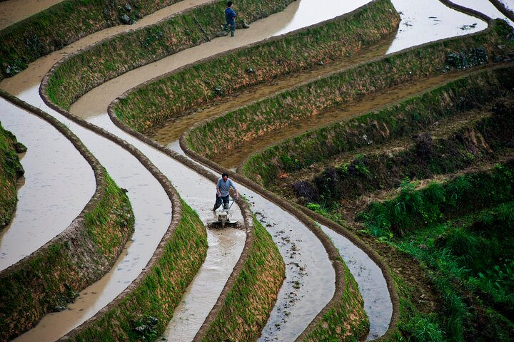 Guilin: Longji Rice Terraces and Villages Private Day Tour - Photo 1 of 12