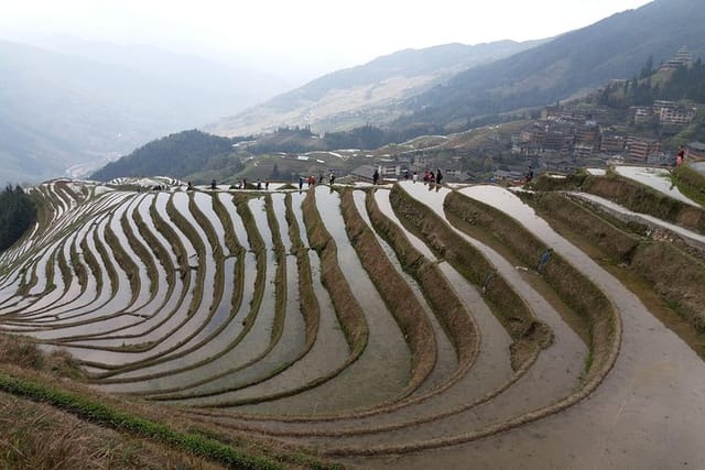 The Spring view at terraces