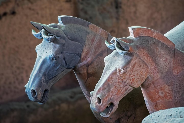  Horses at the Terracotta Warriors and Horses Museum