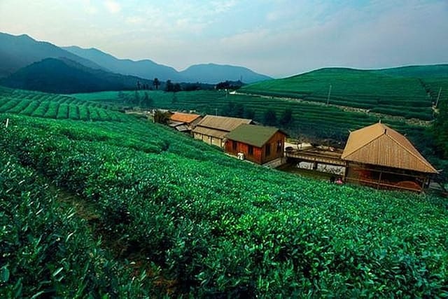 Half-Day Hangzhou Tianzhu Buddhist Mountain Hiking Tour with Green Tea Village  - Photo 1 of 9