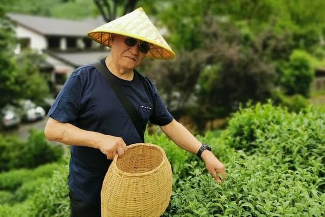 Hangzhou Longjing Tea Plantation Culture Experience Tour - Photo 1 of 7