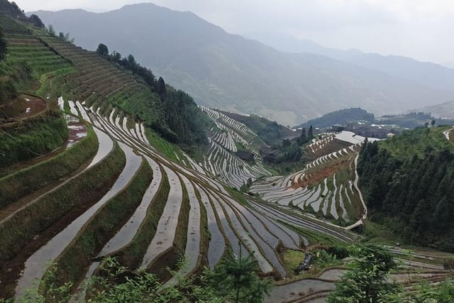 The Longji terraces