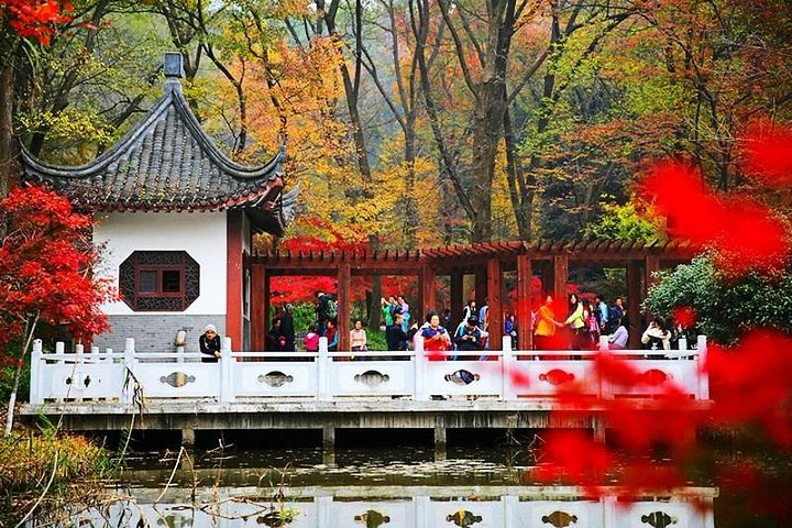 nanjing garden 