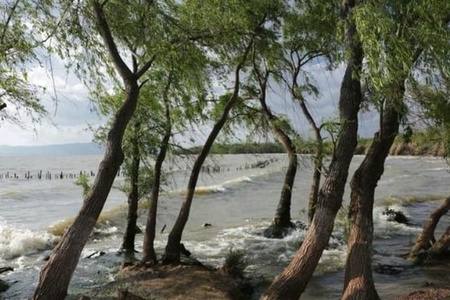 Laoyuhe wetland park 