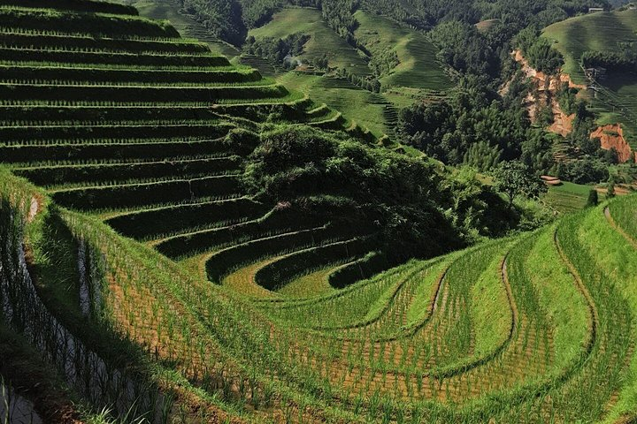 Longji terraces