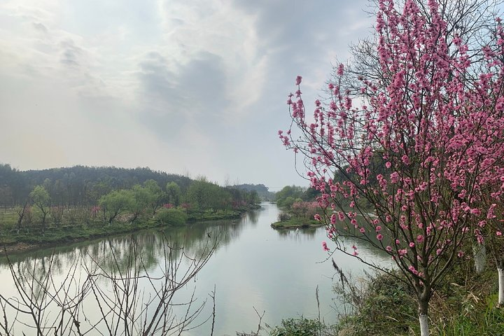 Private Day Tour to Taohuayuan National Park from Changsha - Photo 1 of 6