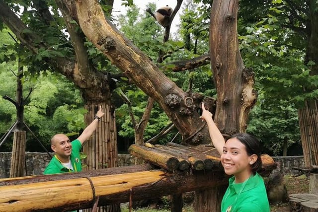 Private Dujiangyan Panda Base Panda Rescue Center Volunteer for a Day  - Photo 1 of 9