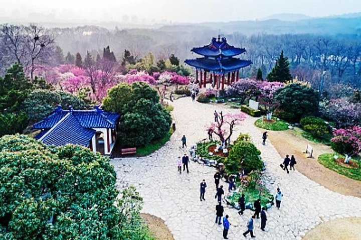 Private In-Depth Day Tour of Nanjing Purple Mountain with Lunch - Photo 1 of 9