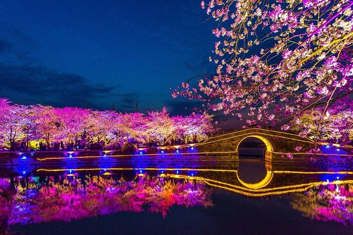 Private Night Tour of Wuxi Taihu Lake with Ferries Wheel and Nanchang Old Street - Photo 1 of 9