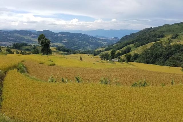 Private Overnight Tour to Yuanyang Rice Terraces from Kunming - Photo 1 of 8