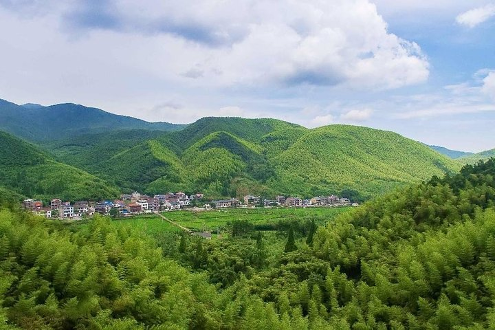 Private Transfer between Hangzhou City and Mogan Mountain  - Photo 1 of 5