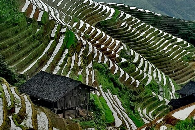 The Spring view at Longji