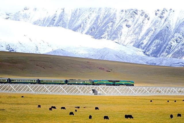 Train to Tibet