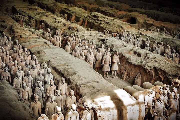 terra cotta warriors 