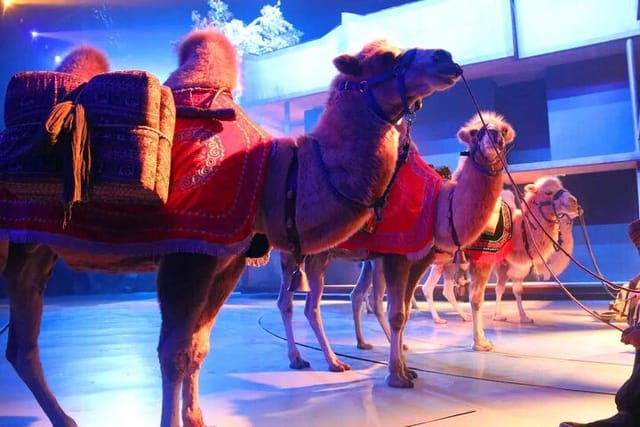 xi-an-silk-road-legend-of-camel-bell-show-ticket-with-transfer_1