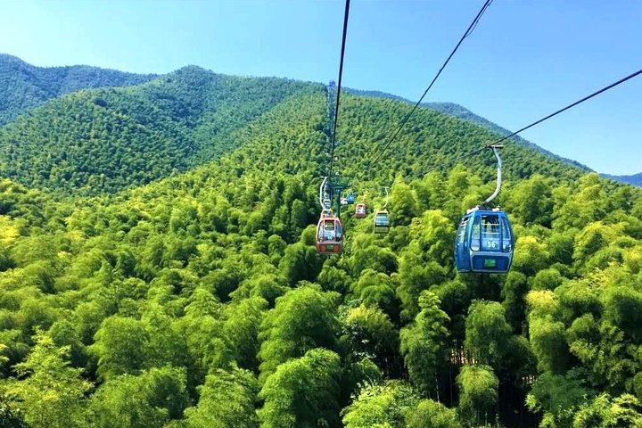 Yixing Bamboo Forest Private Day Tour from Wuxi with Lunch - Photo 1 of 12