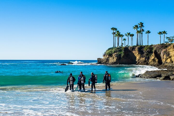 4 Hour Scuba Diving Course in Tayrona Park - Photo 1 of 12